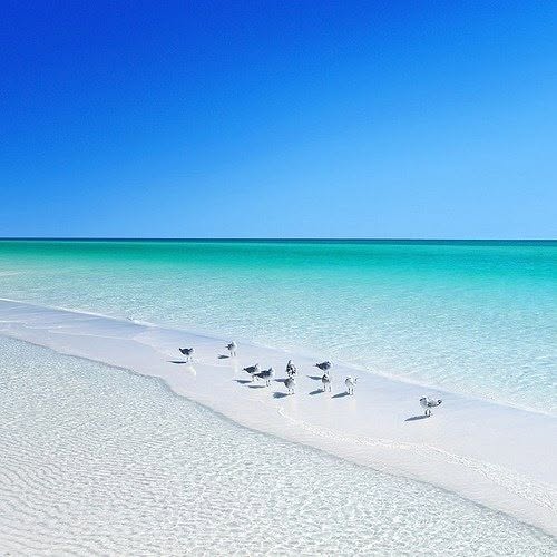 Image for Unwind Longer on Santa Rosa Beach
